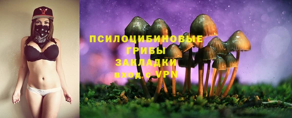 ПСИЛОЦИБИНОВЫЕ ГРИБЫ Белокуриха