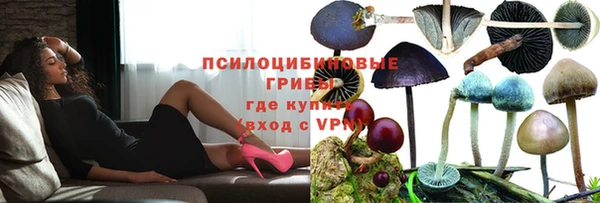 mdpv Богородицк
