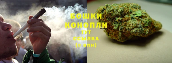стаф Нефтегорск