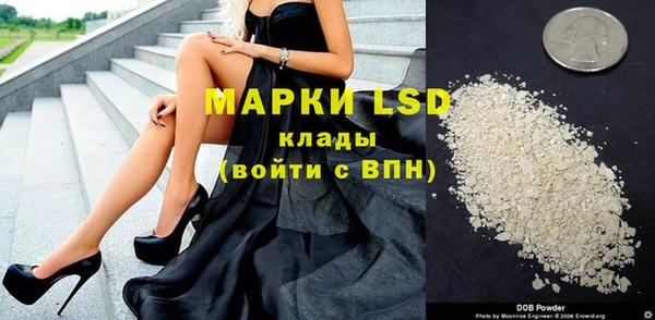ПСИЛОЦИБИНОВЫЕ ГРИБЫ Белокуриха