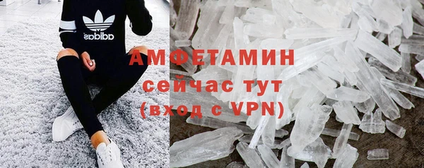 стаф Нефтегорск