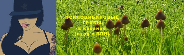 Альфа ПВП Беломорск