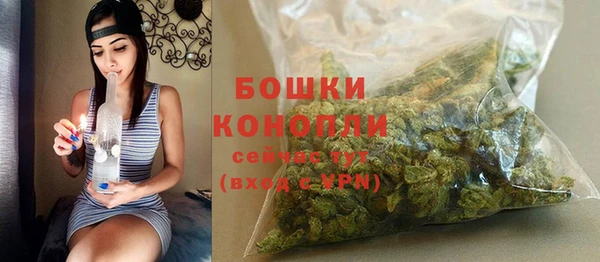 стаф Нефтегорск