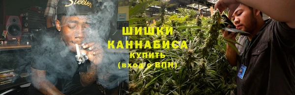 стаф Нефтегорск