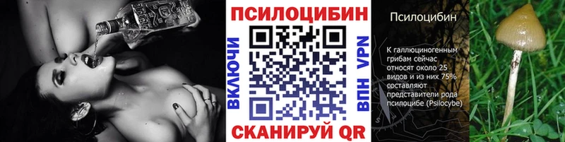 купить  сайты  Нахабино  Галлюциногенные грибы мухоморы 